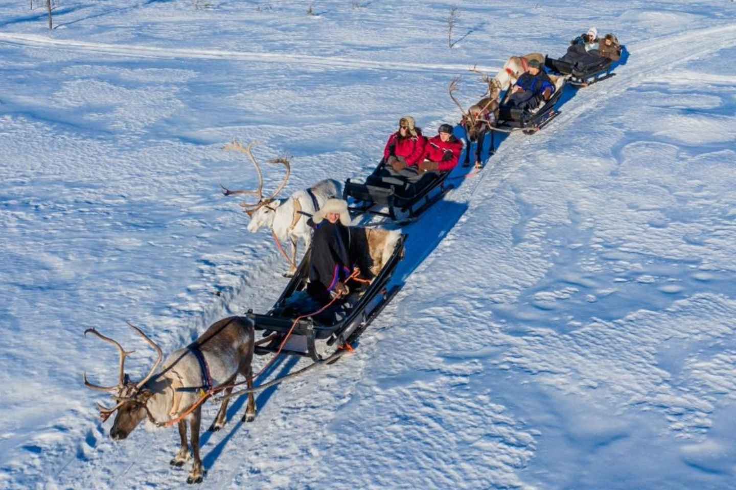 罗瓦涅米：原汁原味驯鹿农场探险 & 长途雪橇之旅