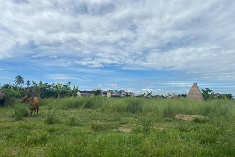 Hoi An: Kim Bong Carpentry Village and Water Coconut Tour