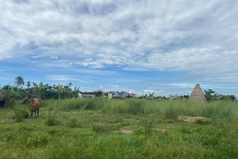 Hoi An: Kim Bong Carpentry Village and Water Coconut Tour