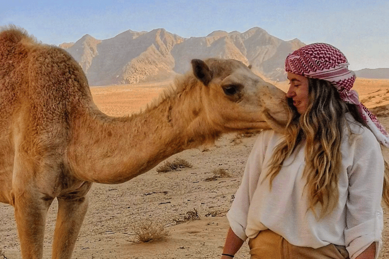 Deserto del Wadi Rum: Tour di un giorno in Jeep e pranzo tradizionale