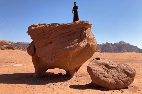 Deserto de Wadi Rum: excursão de meio dia em jipe (manhã ou pôr do sol)