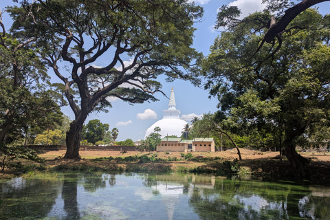 Sigiriya: Anuradhapura Guided Day Trip
