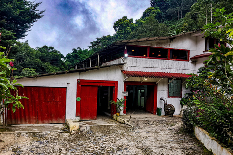 Minca: Tour to Jaguar Waterfall, Marinka, Coffee Farm, and Sunset