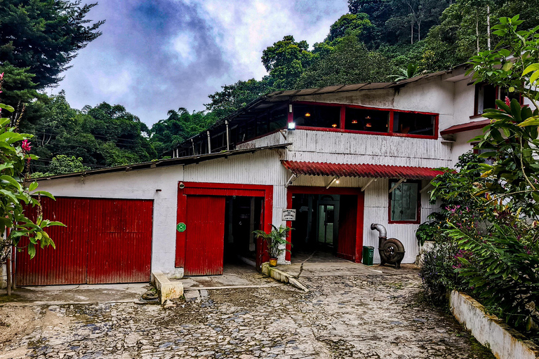 Minca: Tour to Jaguar Waterfall, Marinka, Coffee Farm, and Sunset