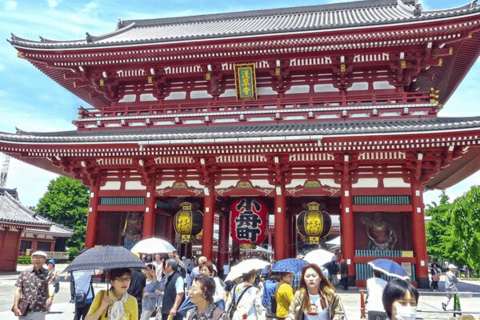 Ciudad de Tokio: Tour de un día personalizado con chófer de habla inglesa