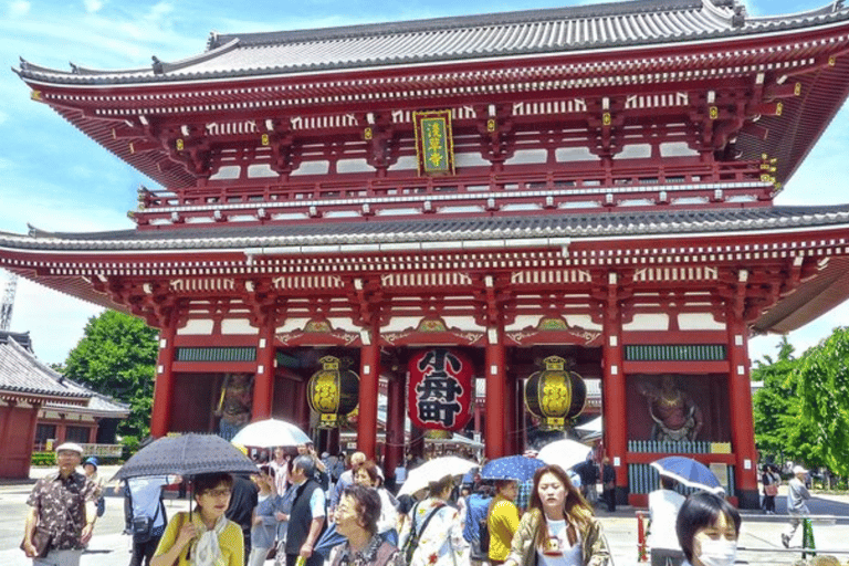 Ciudad de Tokio: Tour de un día personalizado con chófer de habla inglesa