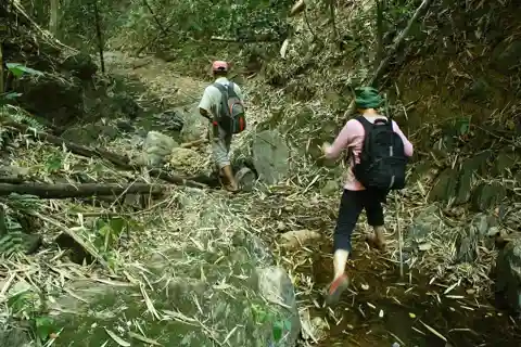 Caminhada em Ban Huay Kaew: a verdadeira floresta, comida e cultura