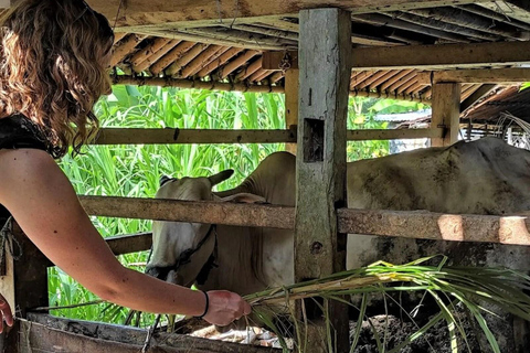 Yogyakarta : Excursion cycliste dans un village en bicyclette classique