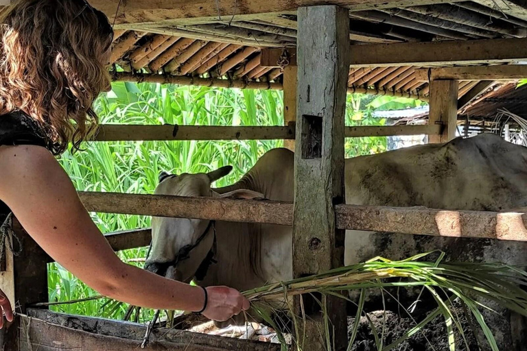 Yogyakarta : Excursion cycliste dans un village en bicyclette classique