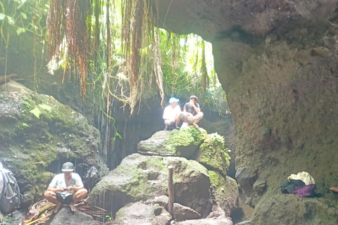 特特巴图：瀑布、香料、梯田、猴子森林特特巴图之旅、香料、瀑布、梯田、猴林