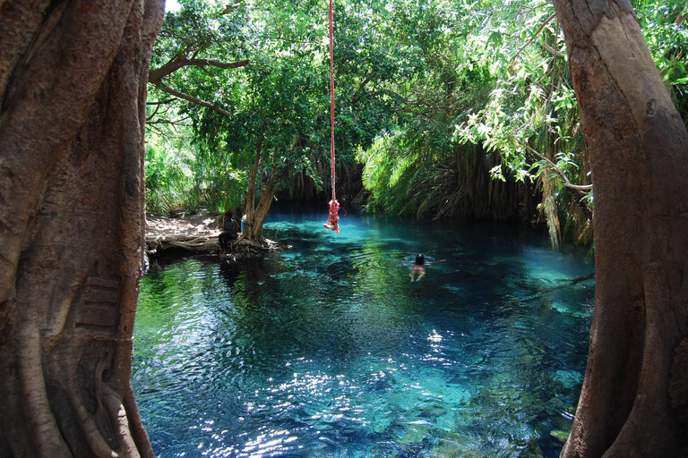 Chemka Hotsprings e vida selvagem Serval Passeio privativo de um dia