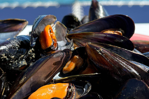 Gita in catamarano e visita ai vivai di Clóchina con degustazione