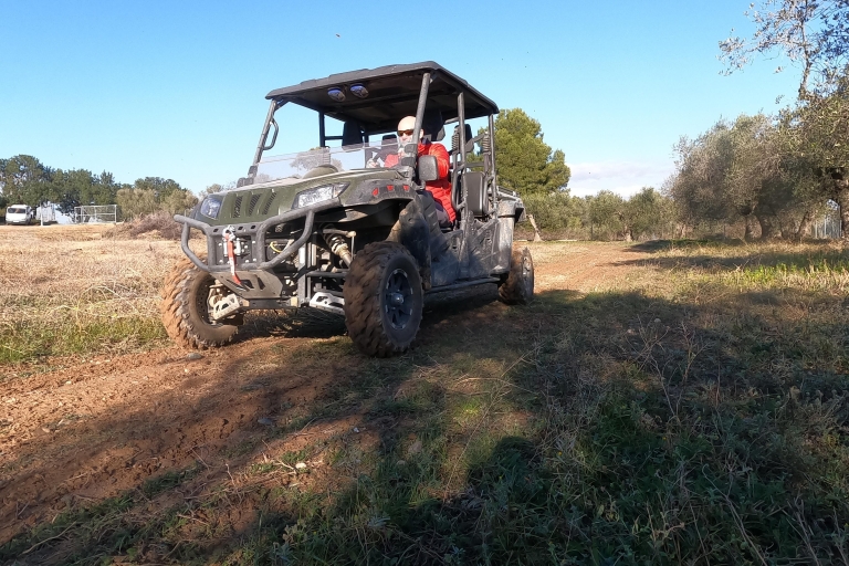 Excursion en buggy à SalouExcursion en Buggie Safari à Salou