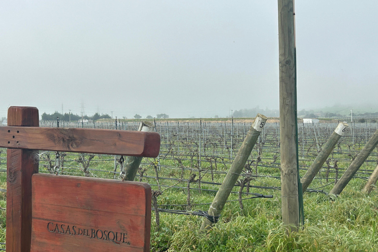 Casablanca | Wine tasting tour