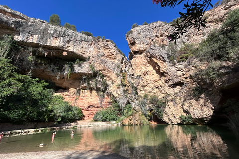 Från Valencia: Vinprovning och besök i Cueva de Turche