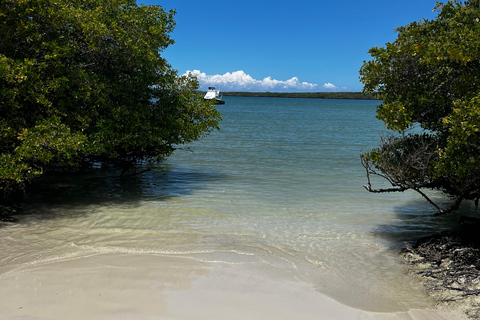 Galápagos: Sightseeing Tour to Tortuga Bay with Crystal-Clear Waters and Kayak