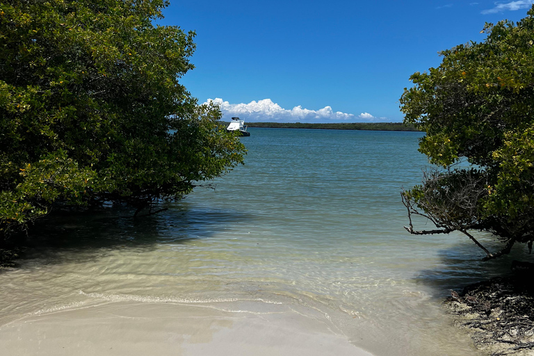 Galápagos: Sightseeing Tour to Tortuga Bay with Crystal-Clear Waters and Kayak