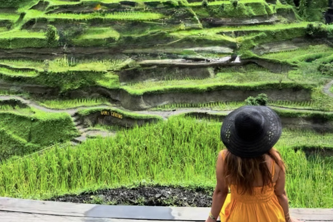 Ubud 3 Hidden Waterfalls & Tegalalang Rice Terrace Tour