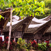 From Makassar: 4-Days Toraja Enchanting Culture & Landscape