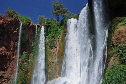 Marrakesh: Ouzoud Falls &amp; Mountain Guided Hike &amp; Boat Ride