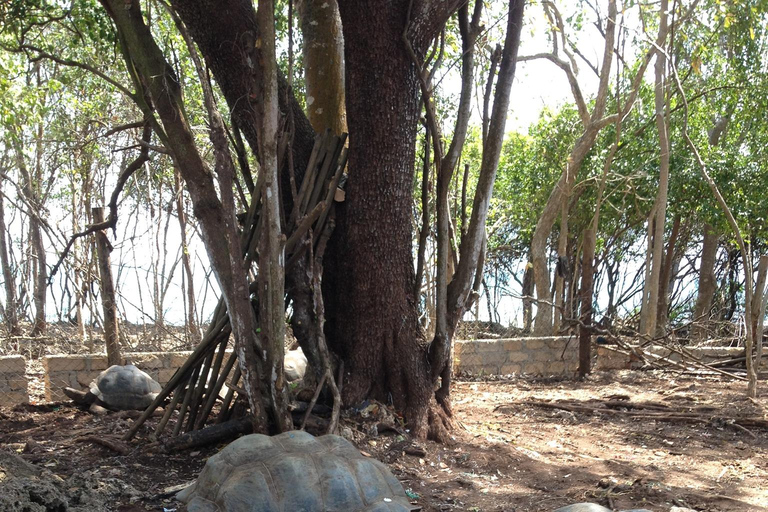 Zanzibar: tour guidato dell'isola prigione con guida localeZanzibar: tour guidato dell'isola prigione con una guida locale