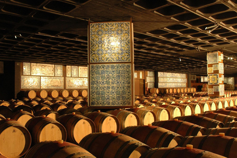 From Lisbon: Serra da Arrábida, Sesimbra, and Setúbal Wines Exclusive Private Tour