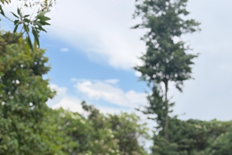 Kigali: Bigogwe, Lake Kivu & Dian Fossey Campus 2-Day Tour