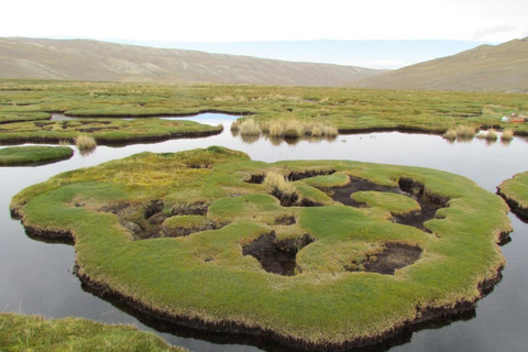 Uyuni: 2-day tour to the salt flat and altiplanic lagoons