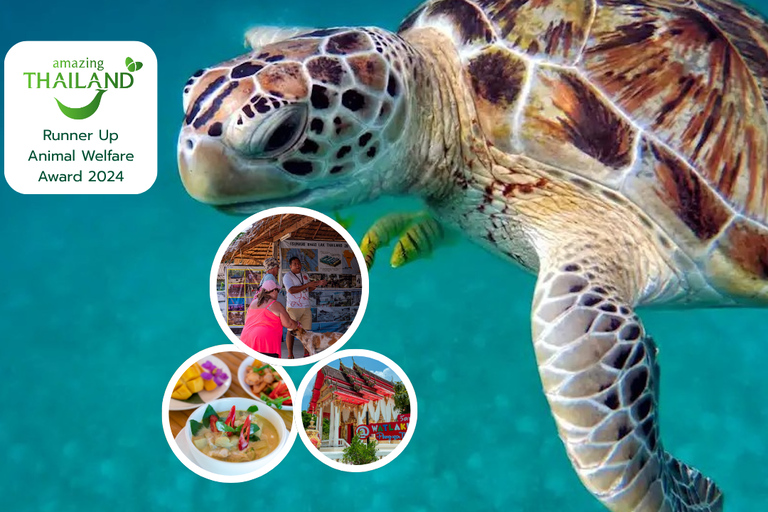 Phuket: świątynia, pomnik ofiarom tsunami, centrum żółwi i słoniePhuket: Temple, Tsunami Memorial, Turtle Center &amp; Elephant