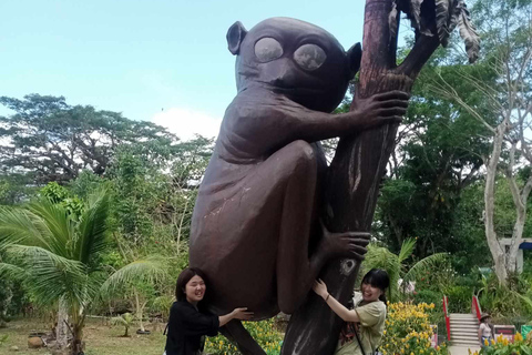 From Cebu: Bohol Countryside Tour Day Trip with Buffet Lunch