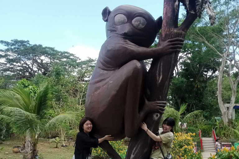 From Cebu: Bohol Countryside Tour Day Trip with Buffet Lunch