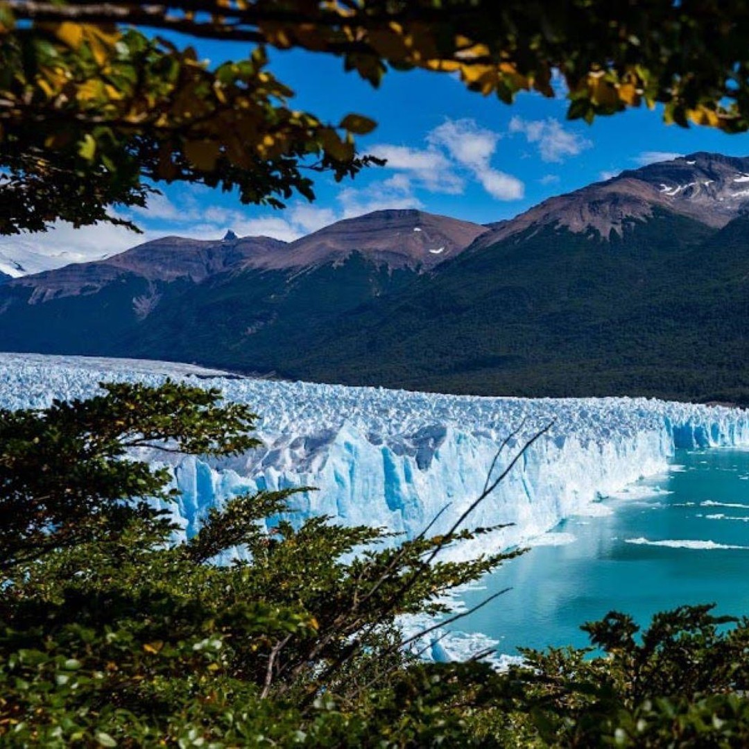 Galería de fotos para redes