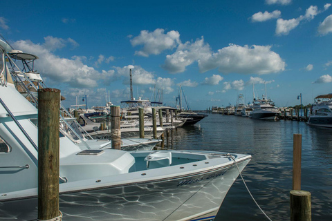 Miami: Deep-Sea Fishing and Sightseeing Boat Tour