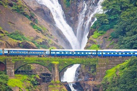 Goa: Dudhsagar Waterfall, Jeep Safari and Spice Plantation Dudhsagar Waterfall Trek