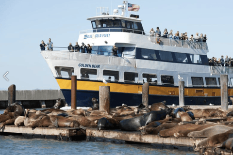 São Francisco: Passeio pela prisão da Ilha de Alcatraz com cruzeiro guiado pela baíaSão Francisco: Excursão à prisão da Ilha de Alcatraz com cruzeiro guiado pela baía