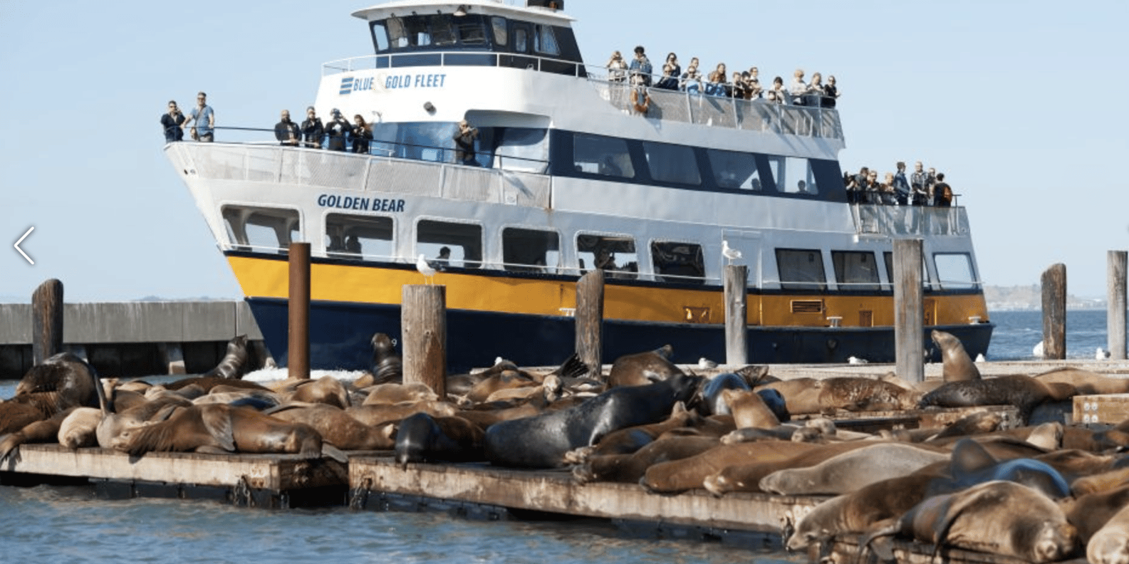 Alcatraz Island Prison Tour & Bay Cruise Combined Package - tour image