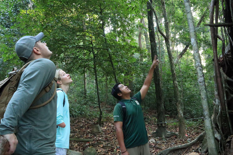 Langkawi: Mount Matchinchang Hiking Tour Hiking Mount Matchinchang