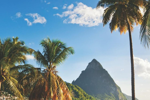 St.Lucia |UVF zu einem beliebigen Sandals Resort|Rundreise|Gratissouvenir