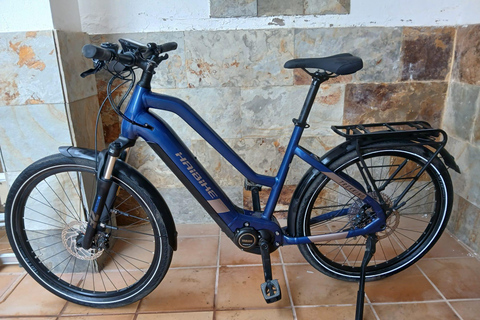 Maspalomas-fataga-ayagaures by e-bike through ravines