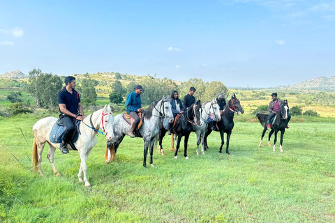 Best Horse Riding Safari Tour from Bangalore