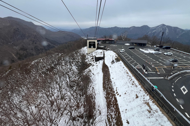 Tour di un giorno da Tokyo a Nikko, patrimonio dell&#039;umanità, con guida in inglese