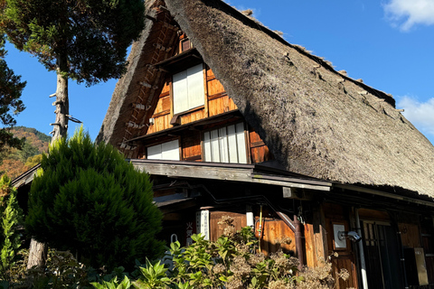 Gifu: Shirakawa-go Tour with a Private Guide 4-Hour Tour