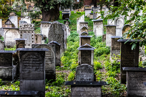 The Jewish History of Krakow with Guide, Tickets & Transfers