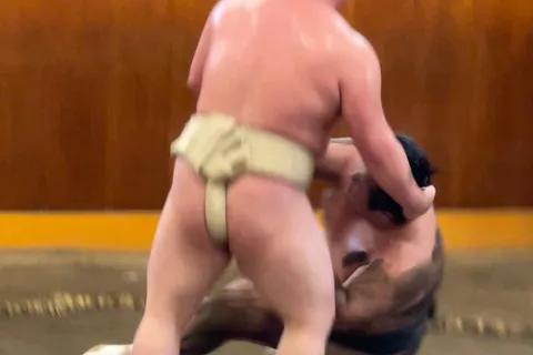 Tokyo: Pratica mattutina di sumo con guida