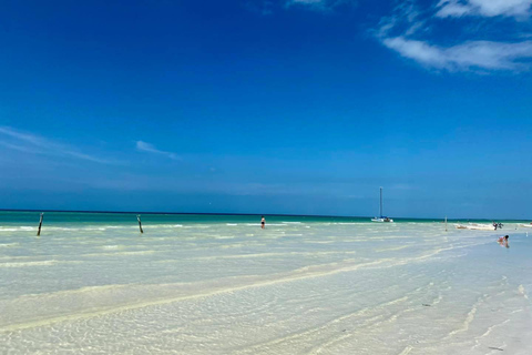 Cancun: Holbox plus Island, Punta Mosquito Trip with Lunch
