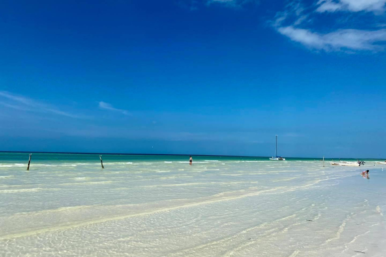 Cancun: Holbox plus Island, Punta Mosquito Trip with Lunch