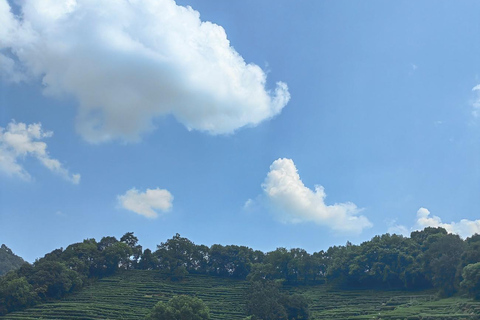Hangzhou Jiuxi, Shililangdang & Yunqi Day Hiking Tour