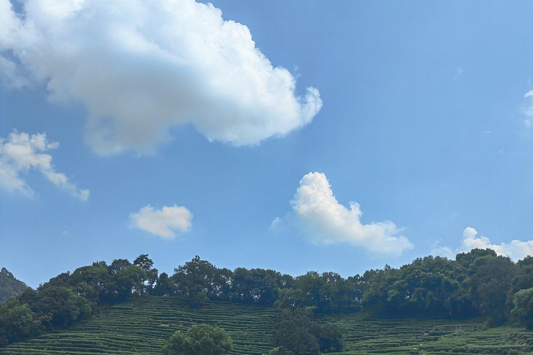 Hangzhou Jiuxi, Shililangdang & Yunqi Day Hiking Tour