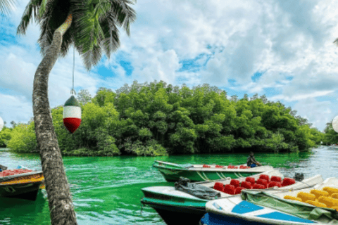 Colombo: Galle Fort, River Safari, and Coast Day Trip From Colombo, Negombo and kaluthara to Galle Fort