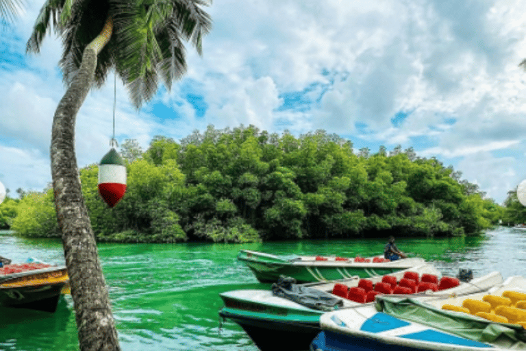 Colombo: Galle Fort, River Safari, and Coast Day Trip From Colombo, Negombo and kaluthara to Galle Fort